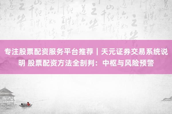 专注股票配资服务平台推荐｜天元证券交易系统说明 股票配资方法全剖判：中枢与风险预警