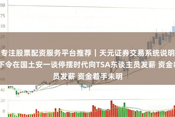 专注股票配资服务平台推荐｜天元证券交易系统说明 特朗普下令在国土安一谈停摆时代向TSA东谈主员发薪 资金着手未明