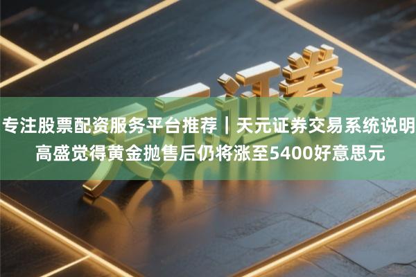 专注股票配资服务平台推荐｜天元证券交易系统说明 高盛觉得黄金抛售后仍将涨至5400好意思元